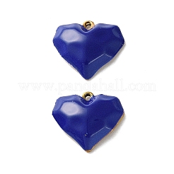 Pendentifs en acier inoxydable 304 émaillés&nbsp;STAS-R164-01G