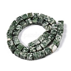 Natürliche grüne Fleck Jaspis Perlen Stränge&nbsp;G-T139-8x8-23A