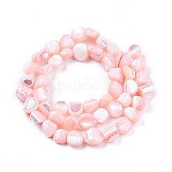Fili di perle di conchiglia trochid naturale / trochus&nbsp;SSHEL-N032-49-A
