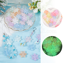 36 Stück leuchtende transparente Acrylperlen in 6 Farben.&nbsp;OACR-SC0002-79