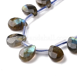 Natur Labradorit Perlen Stränge&nbsp;G-I246-09-A