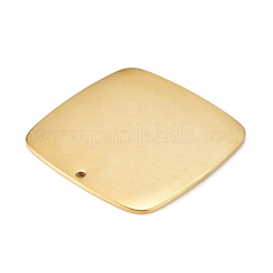 Pendentifs en acier inoxydable 304&nbsp;STAS-L238-107-G