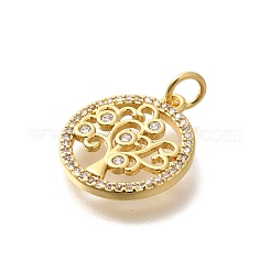 Porte micro ouvrent pendentifs zircone cubique en laiton de placage&nbsp;KK-M296-09G