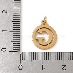 Ciondoli in acciaio inossidabile 304 con anello di congiunzione&nbsp;LS-STAS-R001-02G-G