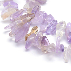 Naturperlen Stränge ametrine&nbsp;G-K220-07