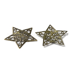 Eisen Filigrane Anhänger&nbsp;IFIN-WH0071-10AB