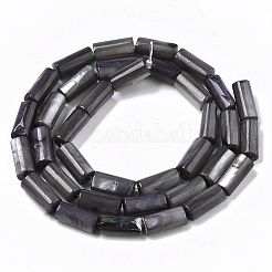 Perles de coquillages naturels d'eau douce&nbsp;X-SHEL-R047-01A