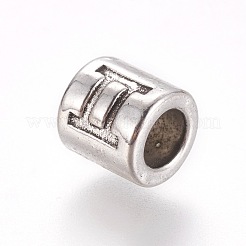 Metall Großlochperlen&nbsp;PALLOY-WH0065-20AS
