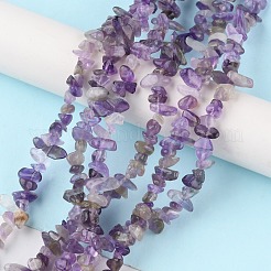 Natürlichen Amethyst Perlen Stränge&nbsp;G-G0003-B14