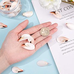 Shell perle naturali di acqua dolce&nbsp;SSHEL-NB0001-21