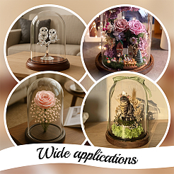 Couvercle de dôme en verre&nbsp;ODIS-WH0079-021A