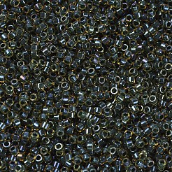 Miyuki Delica Perlen&nbsp;SEED-MY11-DB0273