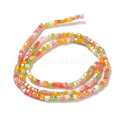 Brins de perles de verre de galvanoplastie de couleur dégradée&nbsp;GLAA-E042-05-B03