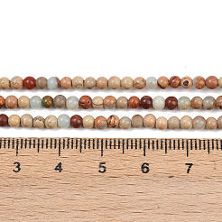 Natürliche Aqua Terra Jaspis Perlen Stränge&nbsp;G-E444-14B-3mm