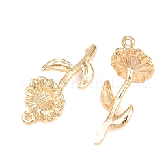 Messing Anhänger & Charms&nbsp;KK-A288-01G-10