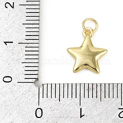 Pendentifs en laiton&nbsp;KK-L231-14G