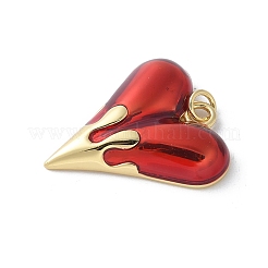 Pendentifs d'émail en laiton &nbsp;KK-D336-09G-02D