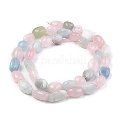 Naturperlen Stränge morganite&nbsp;X-G-O186-B-03