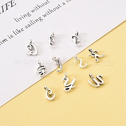 Tibetischer stil Aluminium Anhänger & Charms&nbsp;TIBEP-R361-02-RS