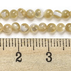 Natürliche Trochidschale / Trochusschalenperlenstränge&nbsp;BSHE-Z005-04B