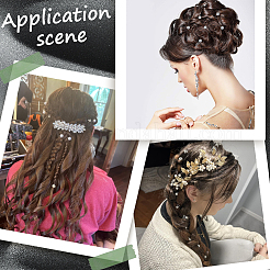 Spirale Haarnadel Spule Eisen Haar-Accessoires&nbsp;OHAR-SP0001-12A