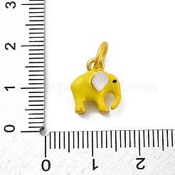 Legierung Emaille Anhänger / charms&nbsp;ENAM-E362-13A
