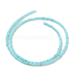 Eau douce naturelle de coquillage perles brins&nbsp;SHEL-P017-01A-03