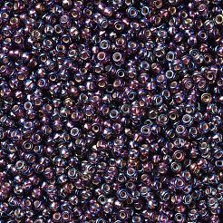 Perles rocailles miyuki rondes&nbsp;X-SEED-G007-RR1013