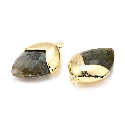 Natur Labradorit Anhänger&nbsp;G-U019-03B-07