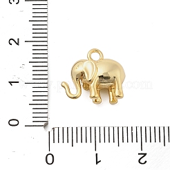 Messing Anhänger & Charms&nbsp;KK-I380-09G