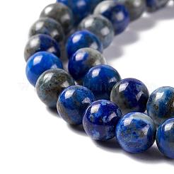 Natürliche Lapislazuli runde Perlen Stränge&nbsp;X-G-I181-09-6mm