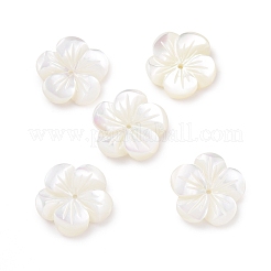 Perle trochid naturali / conchiglie trochus&nbsp;SHEL-P014-02D