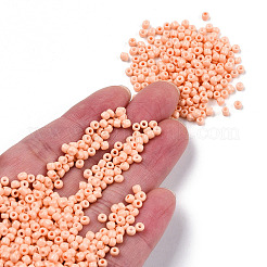 8/0 Backfarbe Glasperlen&nbsp;SEED-R051-07B-06