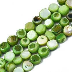 Chapelets de perles de coquille de trochid / trochus coquille, teinte, plat rond, lime green, 5~9x1~6mm, Trou: 0.8mm, Environ 49~50 pcs/chapelet, 15.16 pouce ~ 15.87 pouces (38.5 cm ~ 40.3 cm)