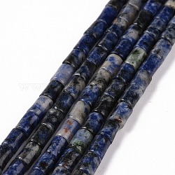 Fili di perle di diaspro macchia blu naturale, colonna, 7~7.5x5mm, Foro: 1 mm, circa 46pcs/filo, 14.76 pollice (37.5 cm)