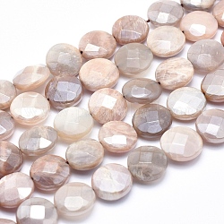 Fili di perline in pietra di sunstone naturale placcati, sfaccettato, rotondo e piatto, 14x6~7mm, Foro: 1.2~1.5 mm, circa 28pcs/filo, 15.5 pollice