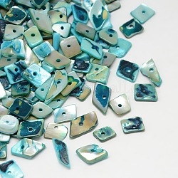 Dyed Natural Freshwater Shell Chips Beads, Sky Blue, 11~16x4~8x2~5mm, Hole: 1mm, about 700pcs/500g