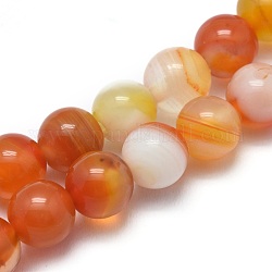 Chapelets de perles en agate à rayures naturelles/agates à bandes, teints et chauffée, ronde, rouge-orange, 8mm, Trou: 1mm, Environ 46 pcs/chapelet, 14.9 pouce (38 cm)