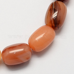 Barrel Shaped Gemstone Dyed Natural Red Agate Stone Beads Strands, Chocolate, 15x10mm, Hole: 1mm, about 25pcs/strand, 15.3 inch
