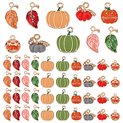 PandaHall 10 Styles Halloween Pumpkin Charms, 60pcs 3D Pumpkin Pendants Alloy Vegetable Leaf Charms for Thanksgiving Fall Wearing Jewelry Earring Making DIY Crafts