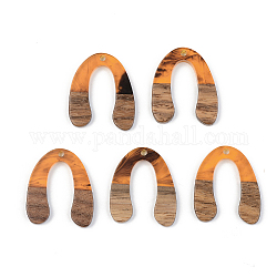 Подвески из смолы и ореха, U-образный, оранжевые, 28x24x3 мм, отверстие : 2 мм