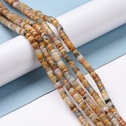 Chapelets de perles en agate fou naturel, plat rond, 4x2mm, Trou: 1mm, Environ 169 pcs/chapelet, 14.96'' (38 cm)
