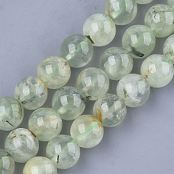 Perline Prehnite naturale fili, tondo, 10mm, Foro: 1 mm, circa 38~39pcs/filo, 15.3 pollice