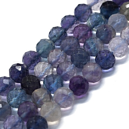 Natural Fluorite Beads Strands G-G927-07-1