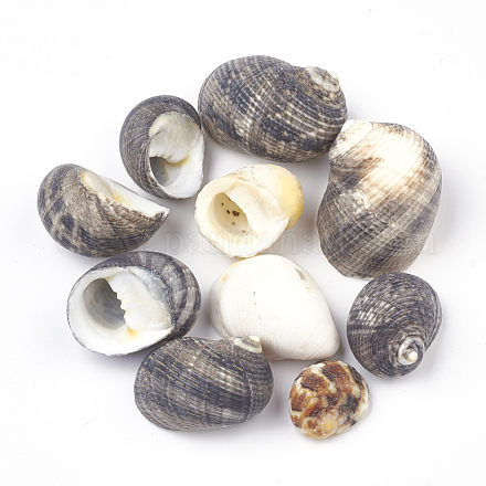 Perles de coquillages en spirale SSHEL-R036-33-1