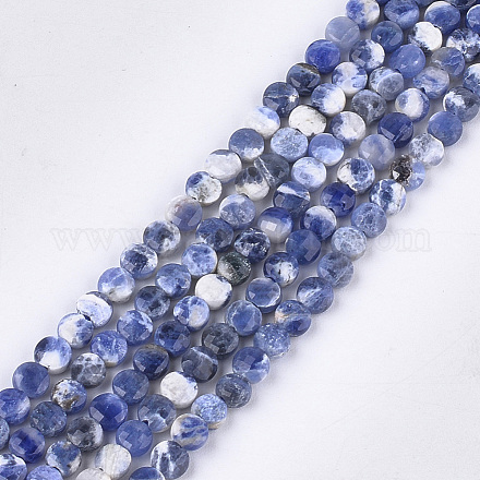 Natural Sodalite Beads Strands G-S354-34-1