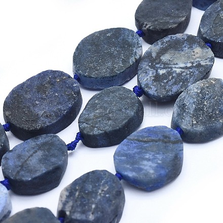 Natural Sodalite Beads Strands G-I213-34-1