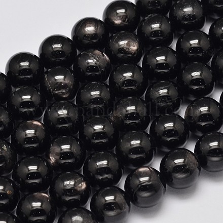 Perles d'hypersthène rondes naturelles G-M304-12-12mm-1