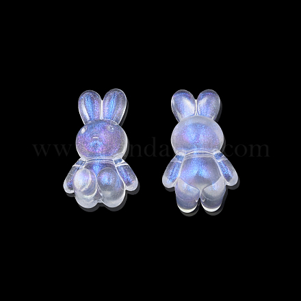Transparent Acrylic Beads OACR-N008-172F-1
