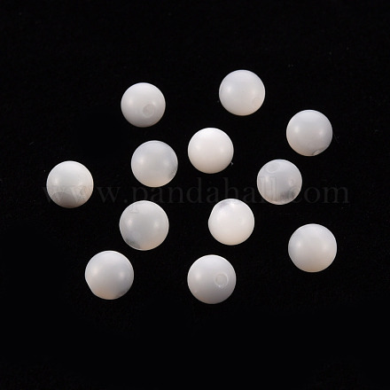Perle trochid naturali / conchiglie trochus SSHEL-T014-29D-1